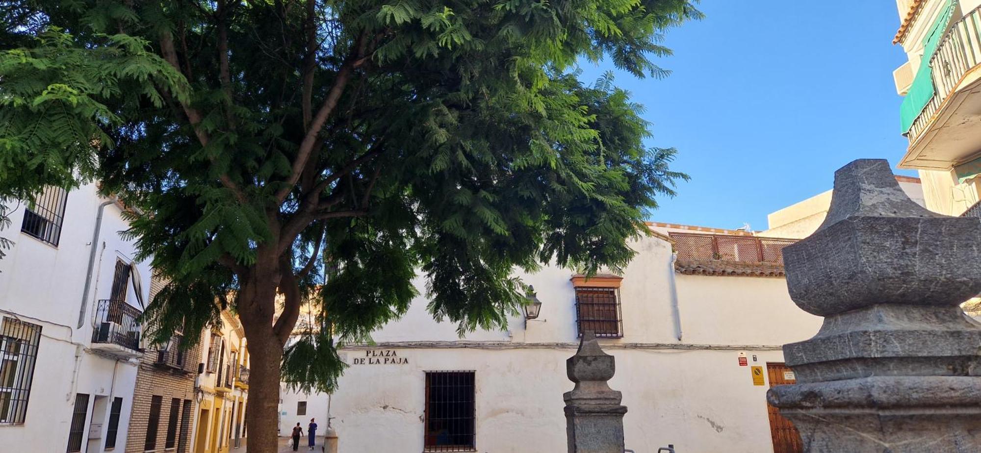 Terraza De La Axerquia Apartment Cordoba Luaran gambar